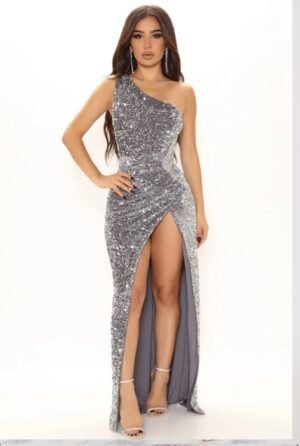 SILVER 491